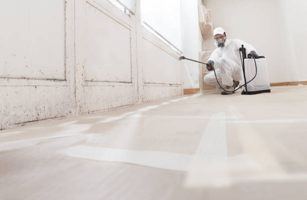 24/7 Emergency Crawl Space Mold Remediation experts in Rockford, MI